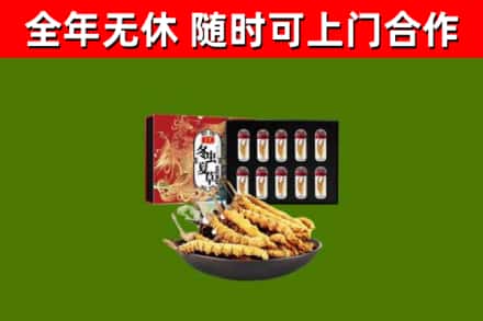 大渡口区回收冬虫夏草价格